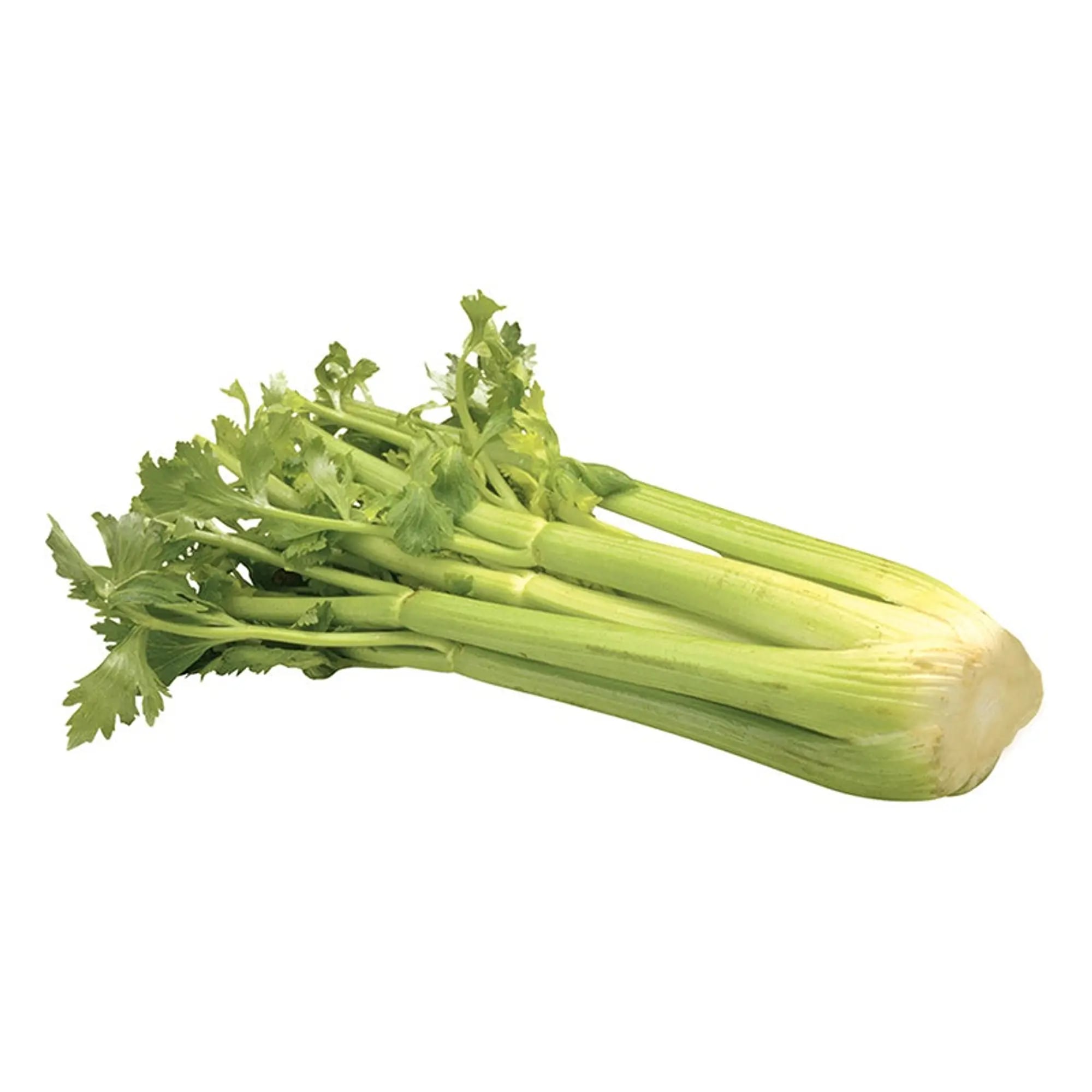 Celery