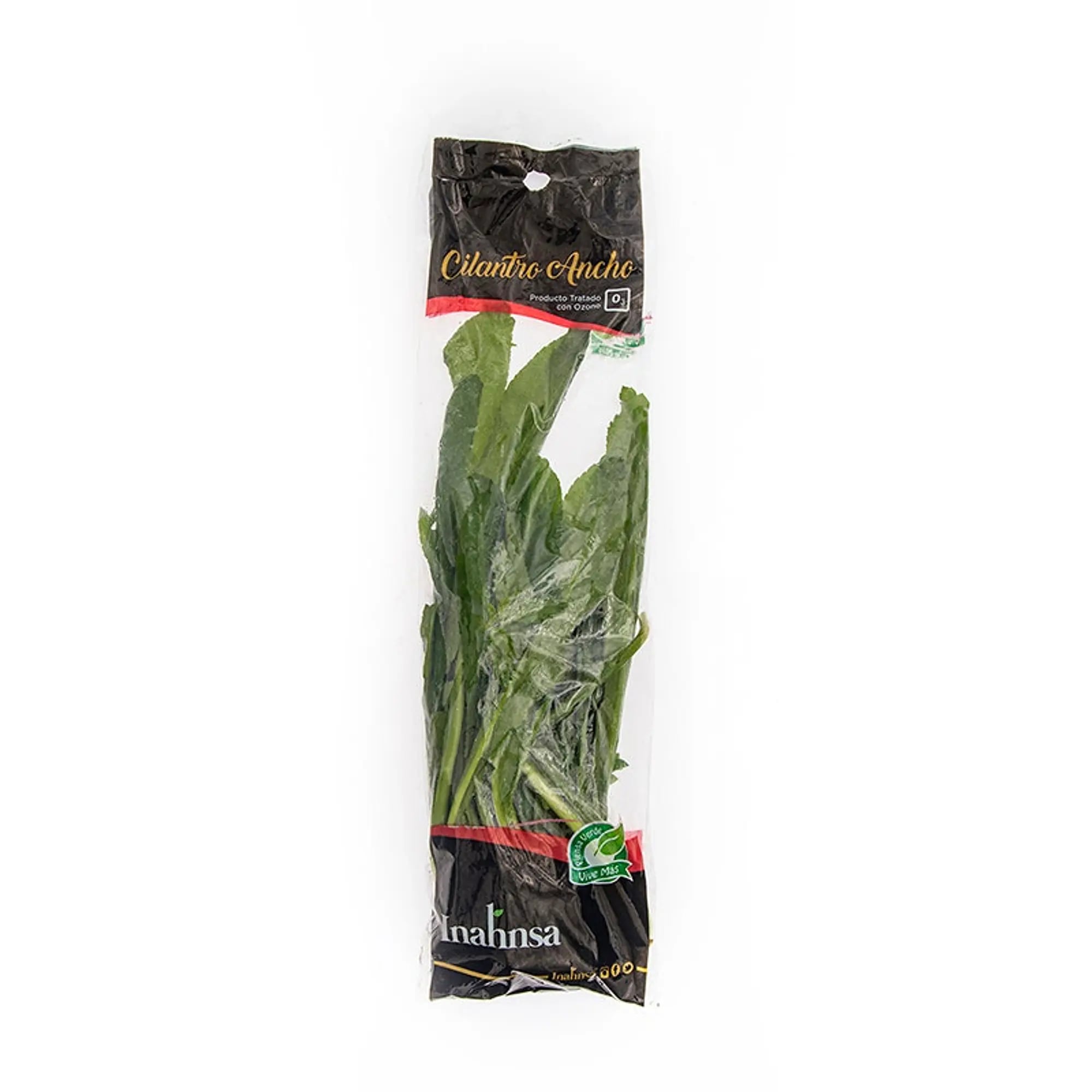 Cilantro