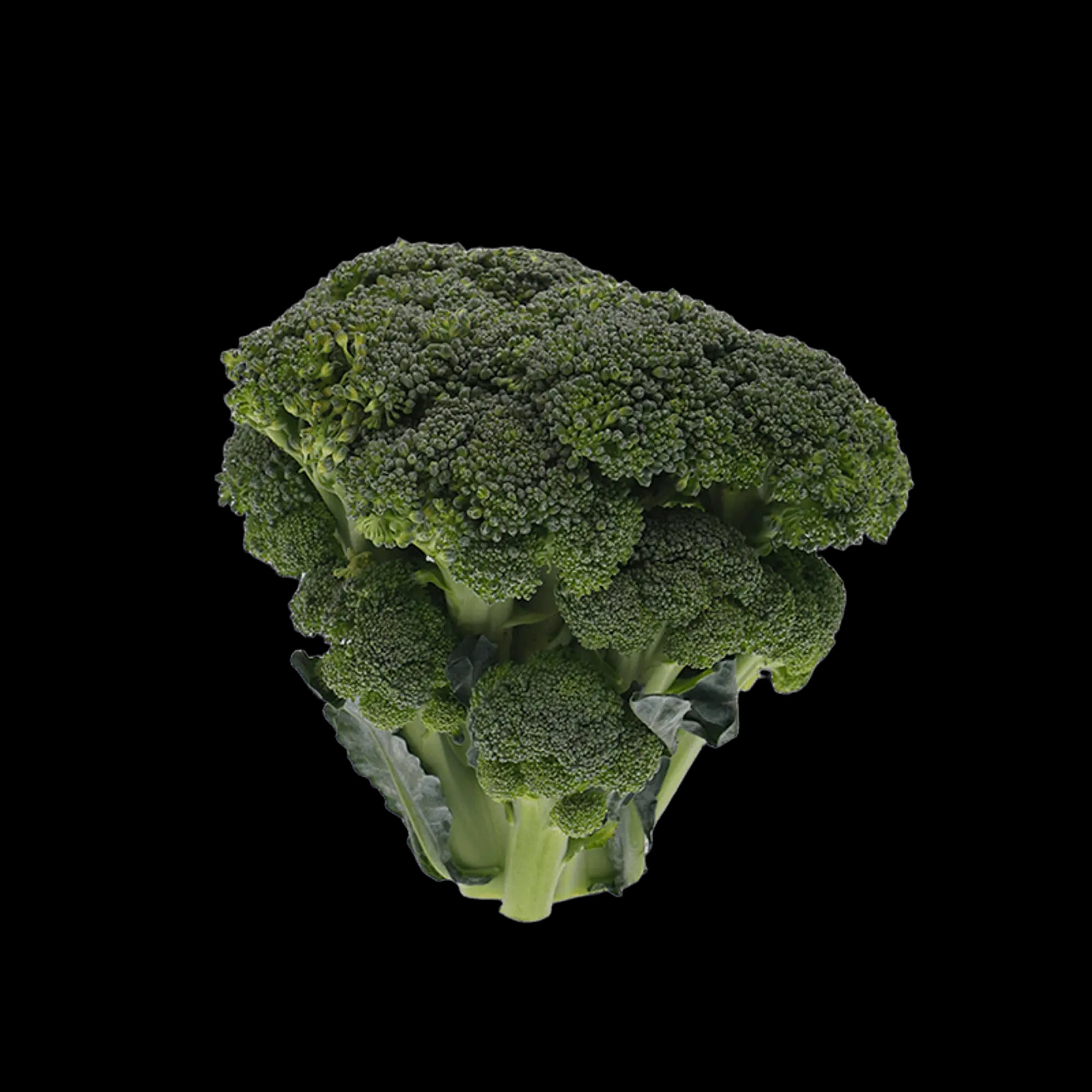 Broccoli
