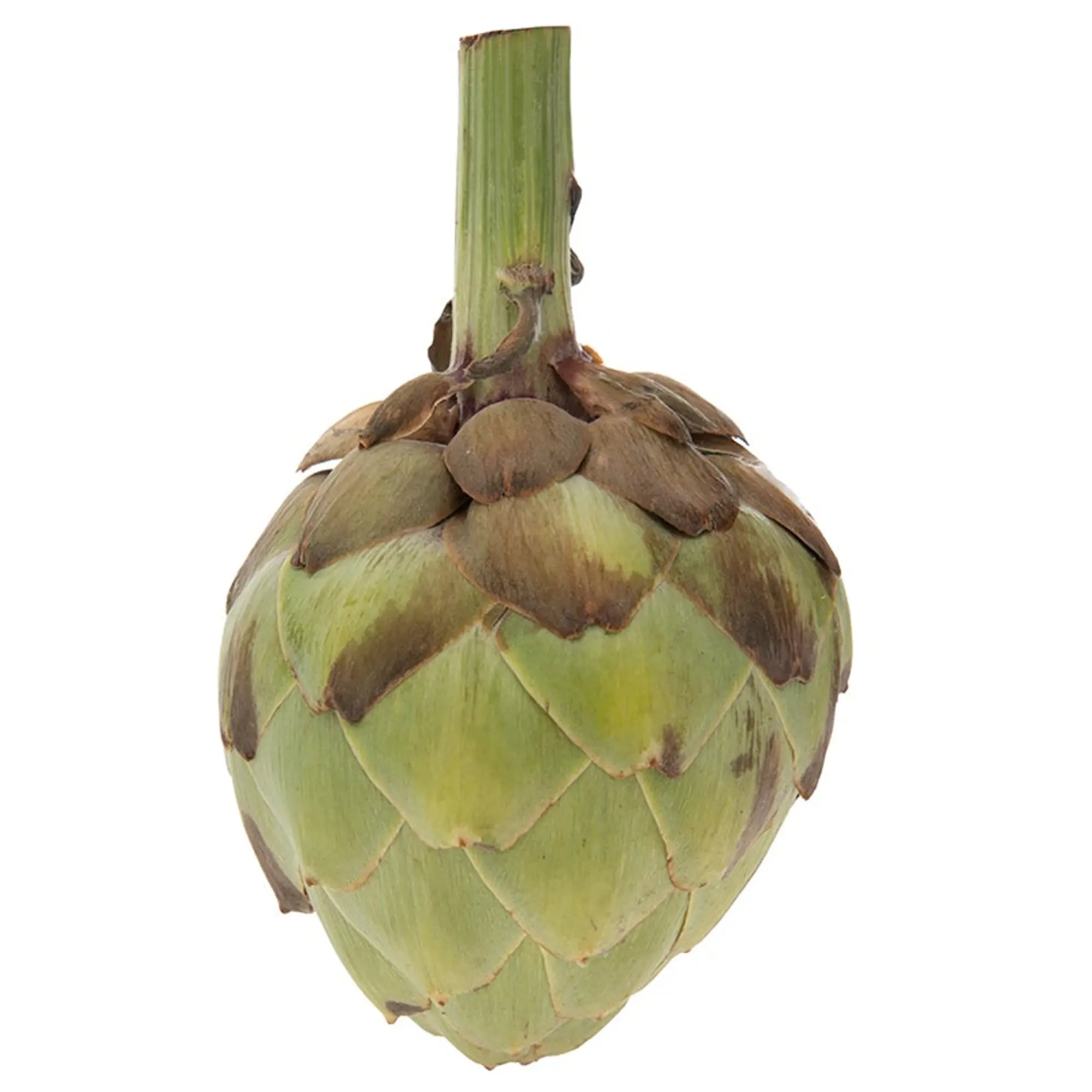 Artichoke