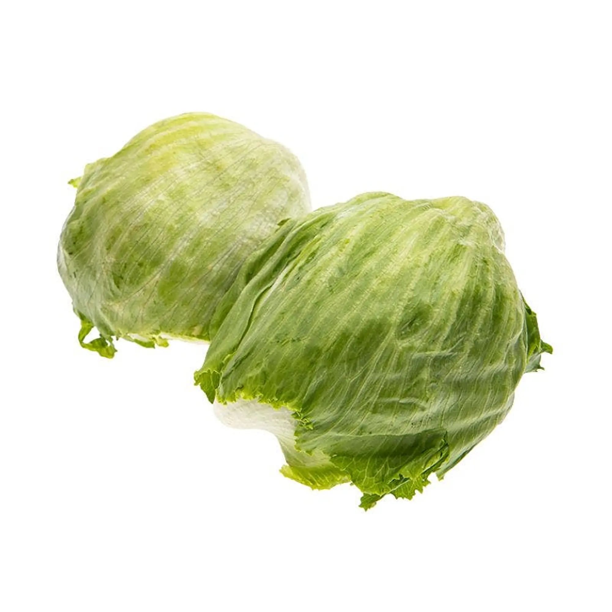 Lettuce - Red Leaf