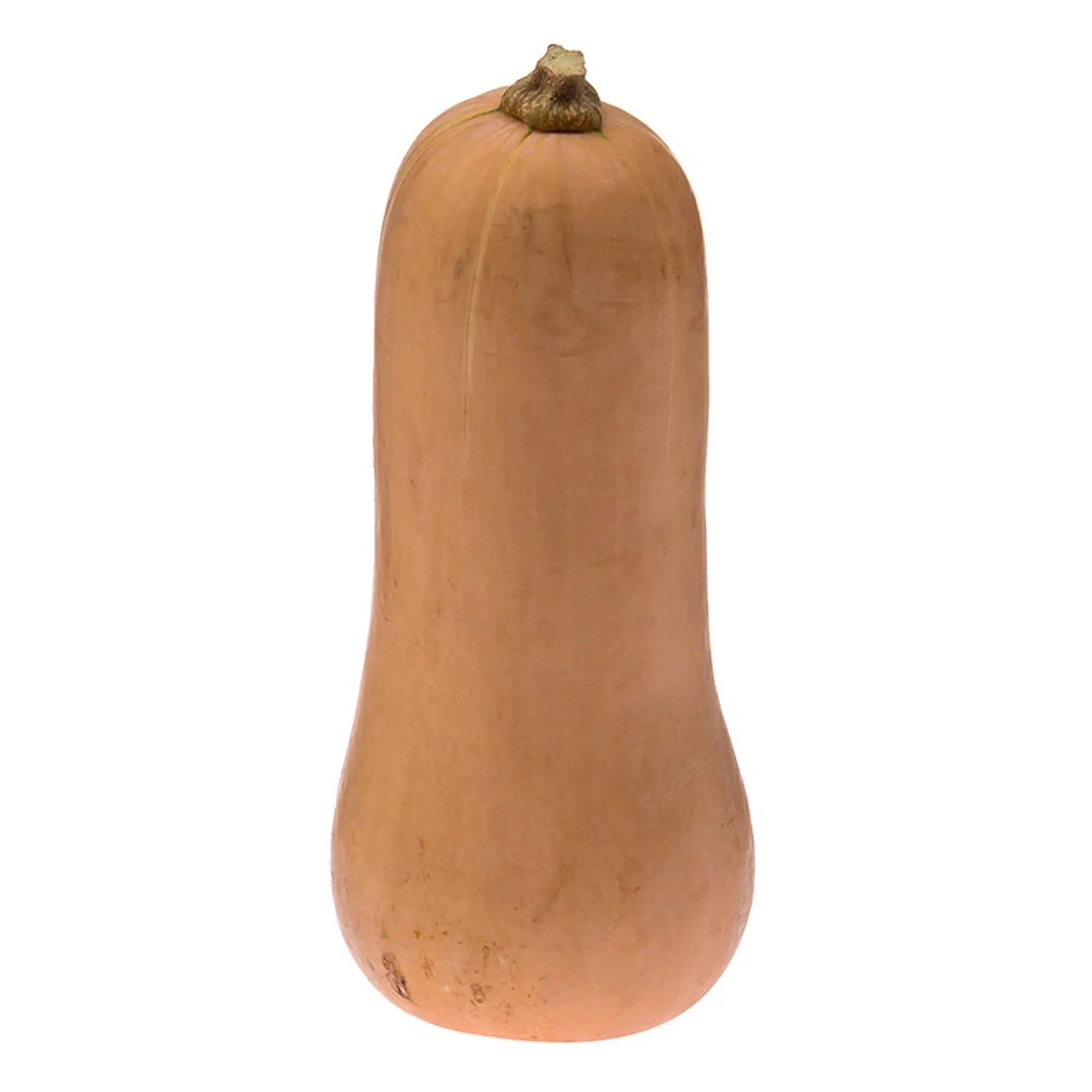Zucchini